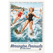 Retro Print | Mornington Peninsula Playground
